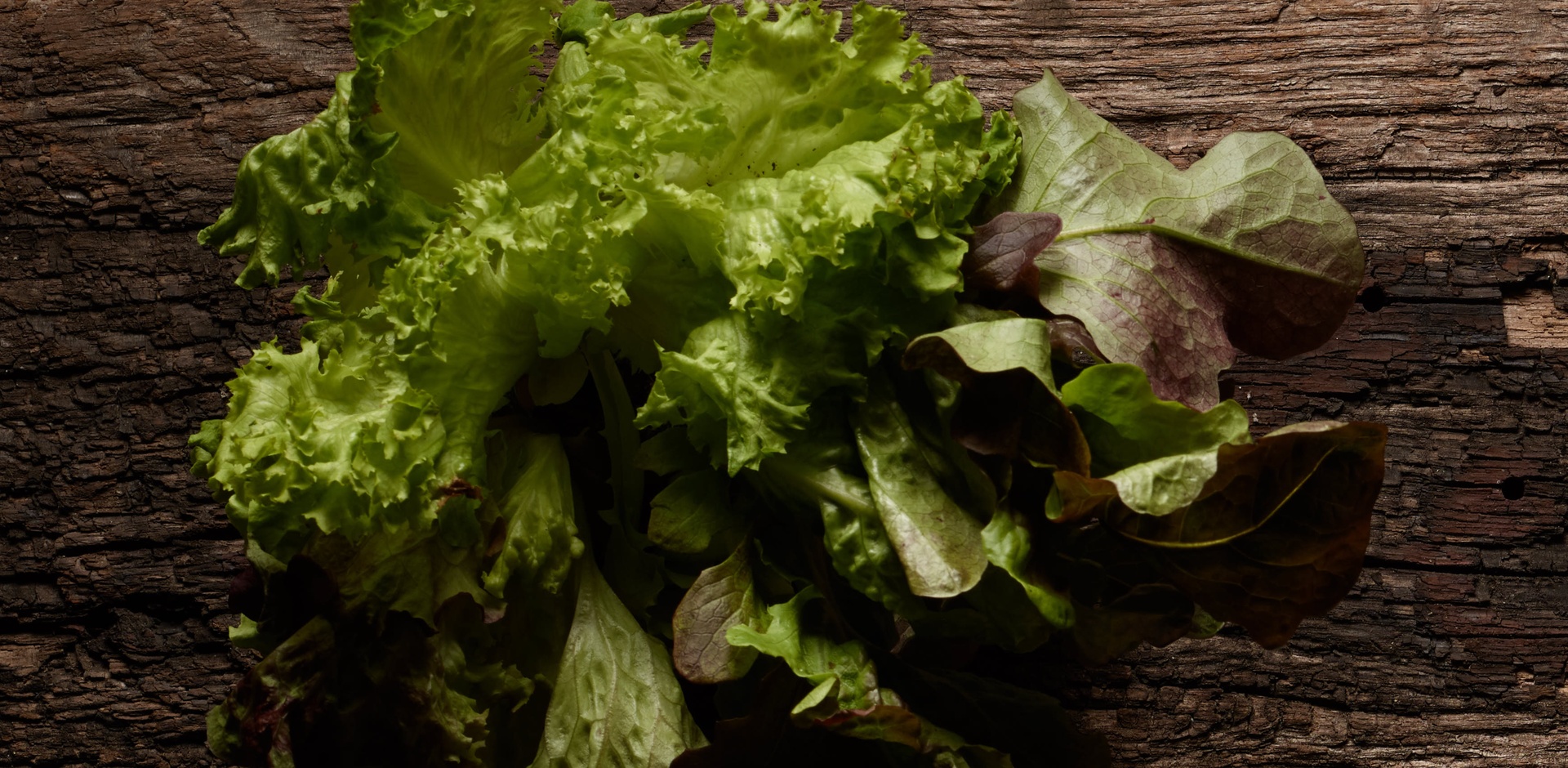 ist abgepackter salat noch gesund